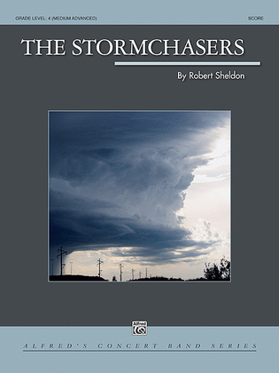 Book cover for The Stormchasers