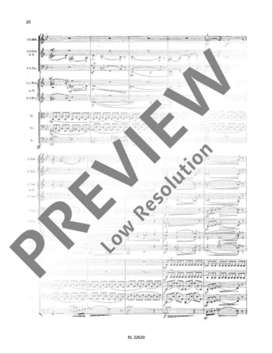 Concerto D minor Orchestra scores gallery preview page 21