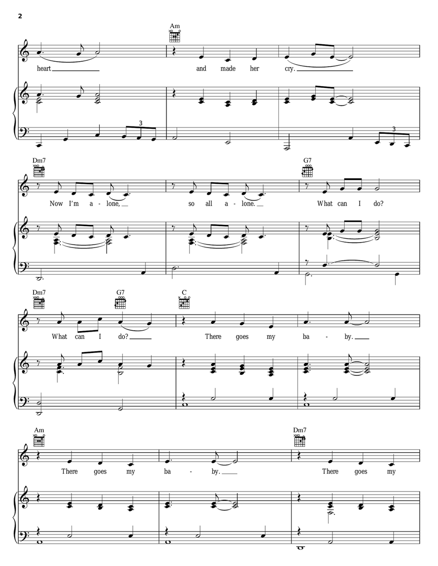 There Goes My Baby Piano, Vocal, Guitar scores gallery preview page 2