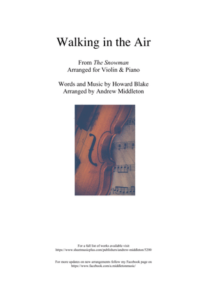Book cover for Walking In The Air