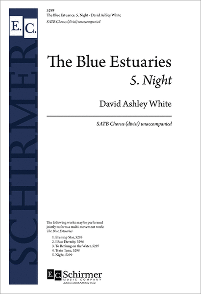 The Blue Estuaries: 5. Night image number null