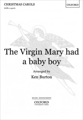 Book cover for The Virgin Mary had a baby boy