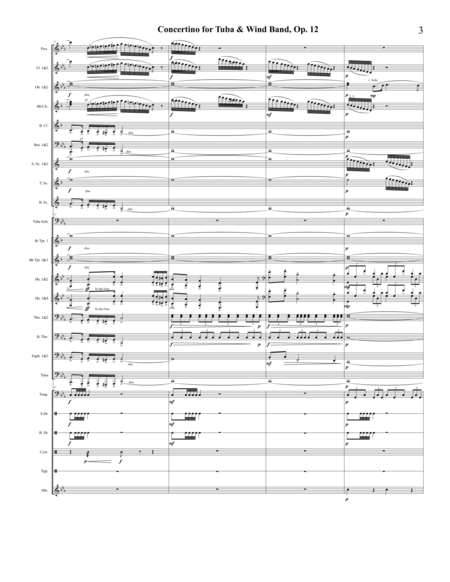 Concertino for Tuba & Wind Band, Op. 12 image number null