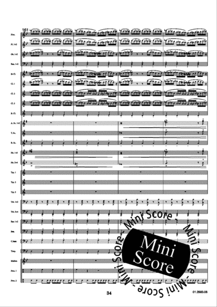 Floris Concert Band scores gallery preview page 38