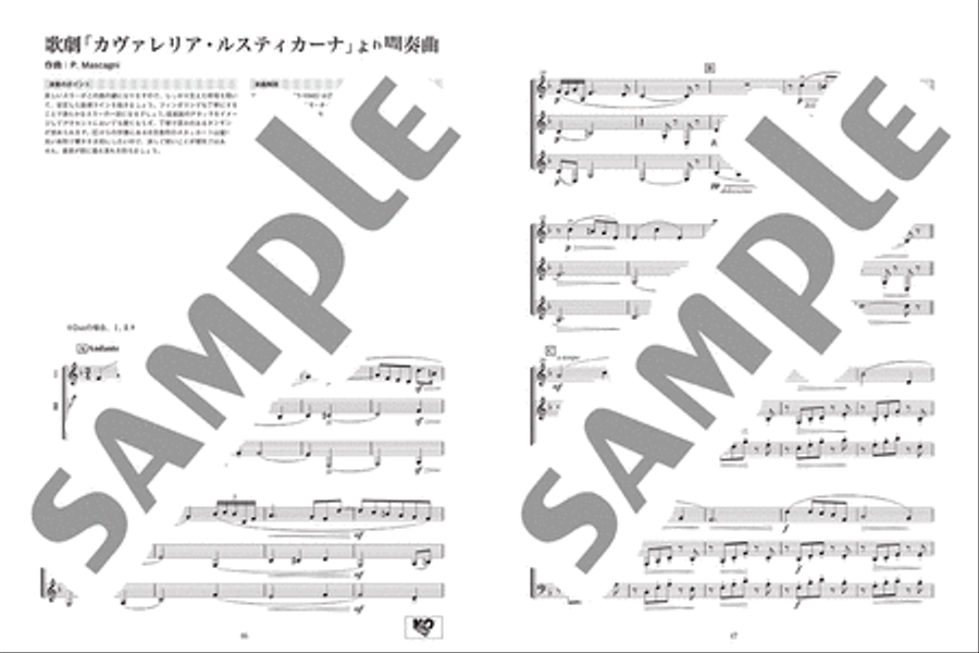 Ensemble de Classic - Classical Melodies for Horn Ensemble Brass Trio scores gallery preview page 3