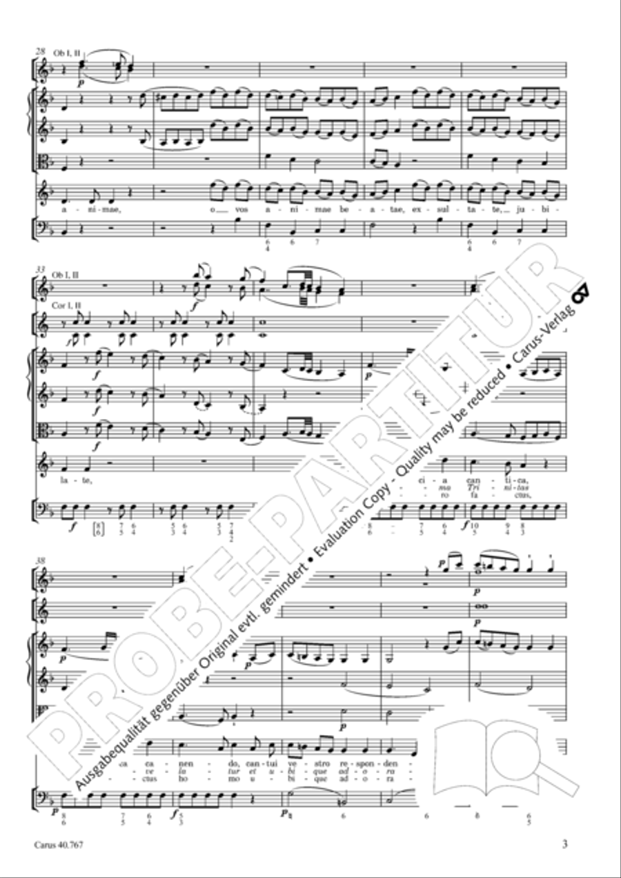 Exsultate, jubilate Exsultate, jubilate Bassoon scores gallery preview page 12