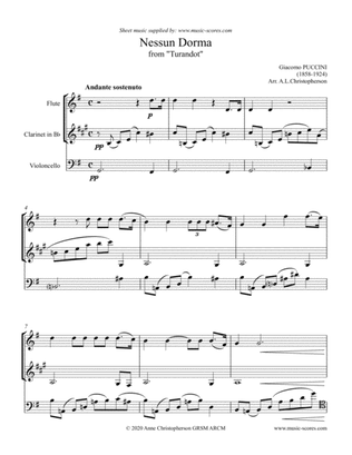 Nessun Dorma - Flute, Clarinet and Cello