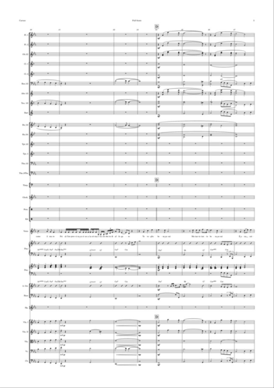 Caruso Full Orchestra scores gallery preview page 5