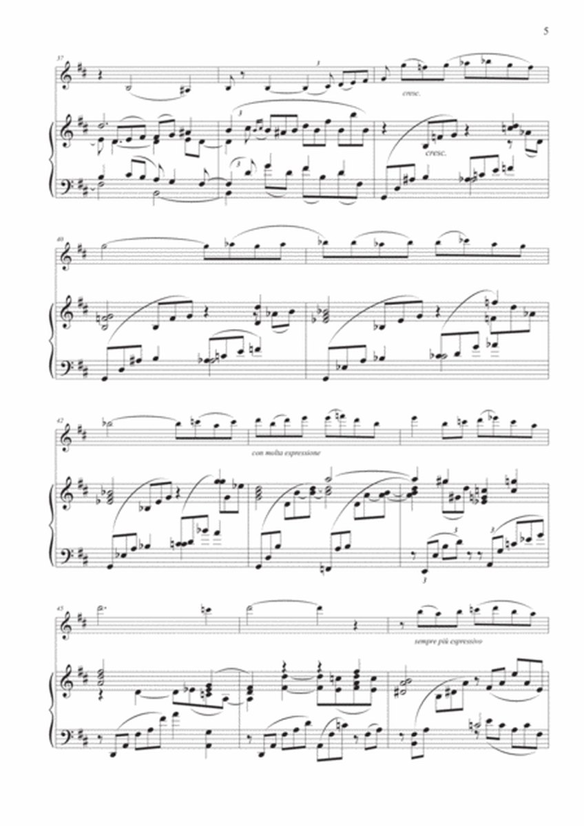 Adagio Sostenuto from "Piano Concerto No. 2" for Violin and Piano image number null
