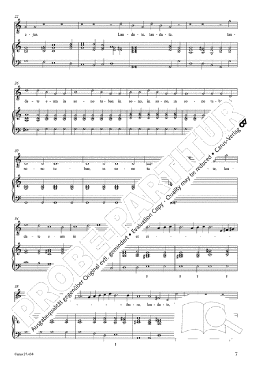 Laudate Dominum in Sanctis Basso Continuo scores gallery preview page 8