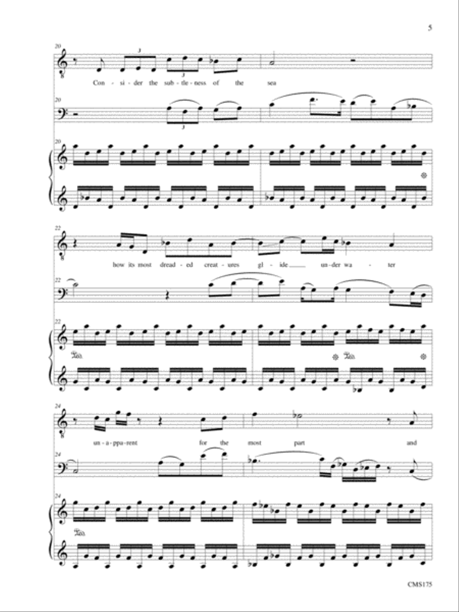 Songs of Solemn Confession: A Song Cycle Bassoon scores gallery preview page 5