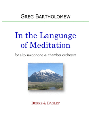 Book cover for In the Language of Meditation - Solo with Chamber Orchestra - SCORE