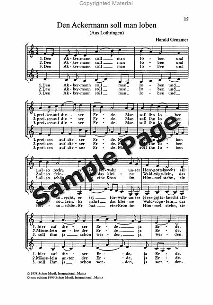 Roller Coaster Ride Piano Solo scores gallery preview page 16