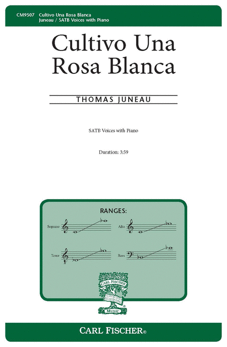 Cultivo Una Rosa Blanca