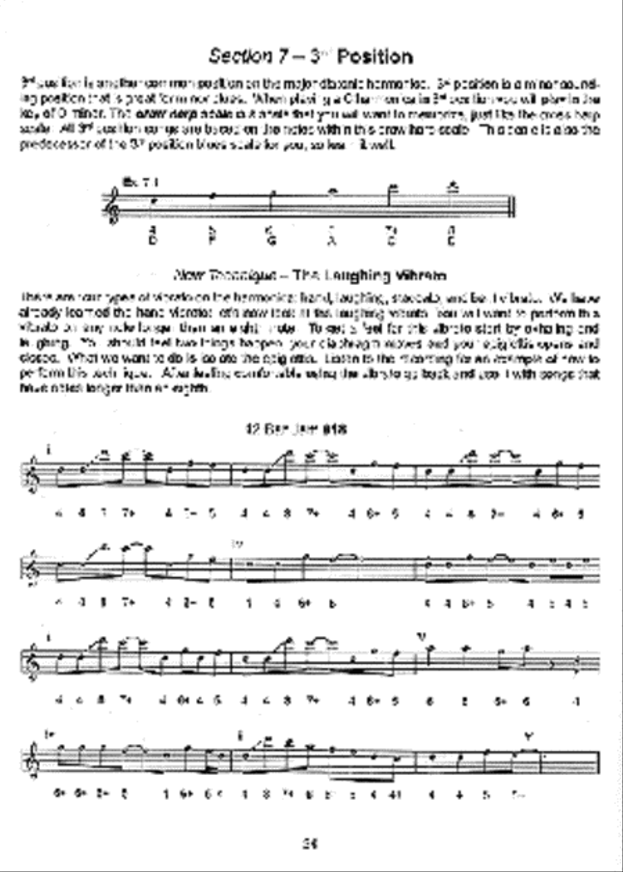 Basic Blues Harmonica Method Level 1 Harmonica scores gallery preview page 3