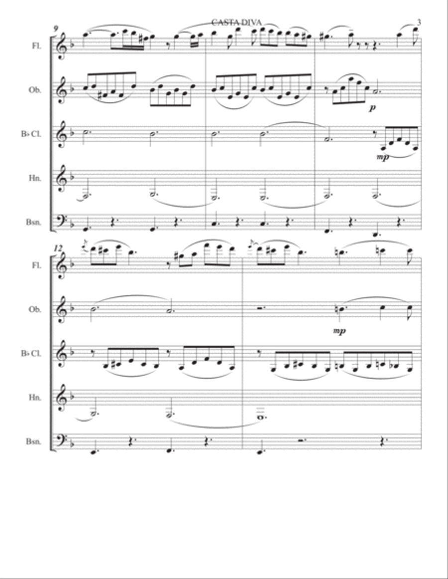 Casta Diva from Norma by Vincenzo Bellini Woodwind Quintet scores gallery preview page 3