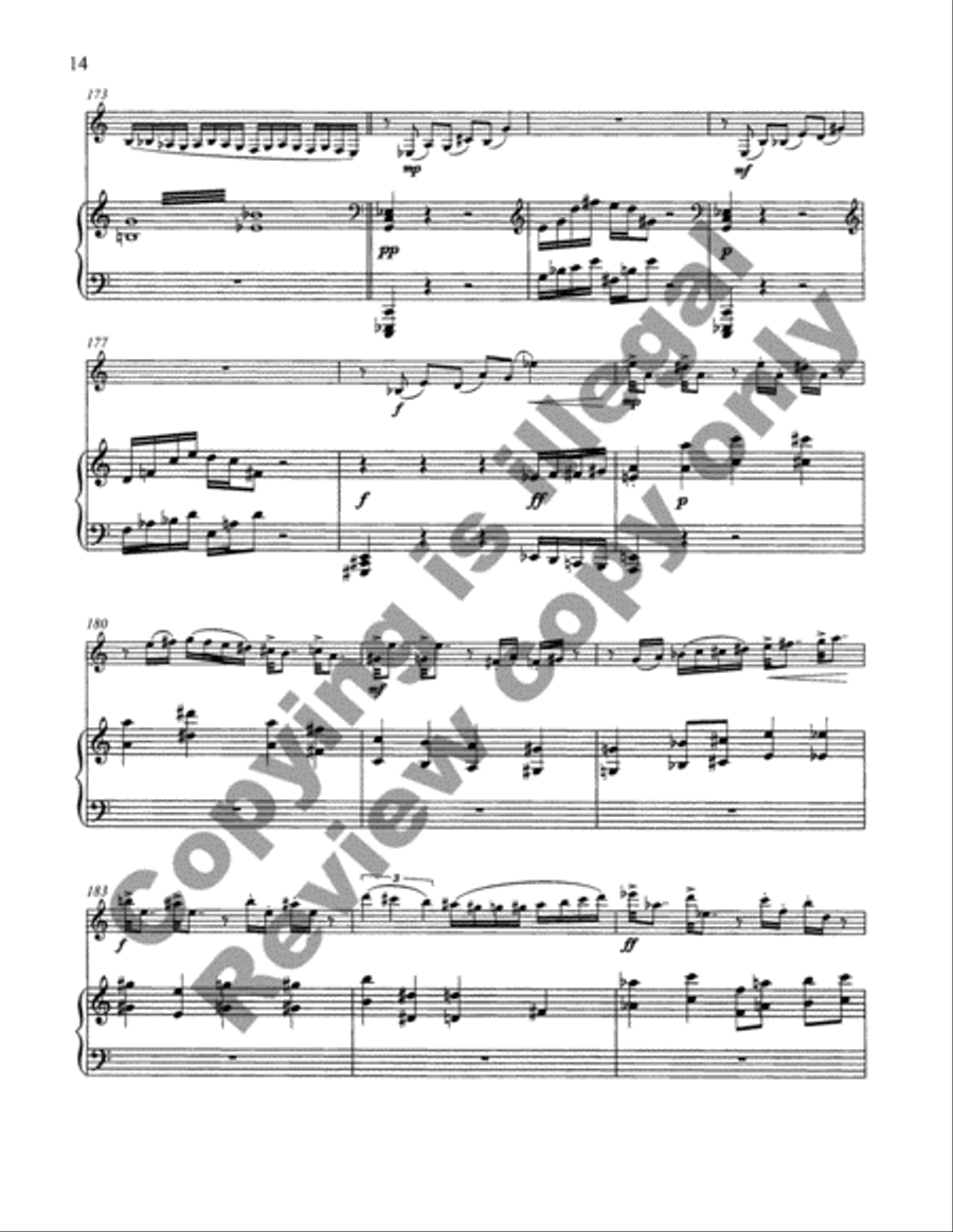Concerto for Clarinet and Orchestra Chamber Orchestra scores gallery preview page 14