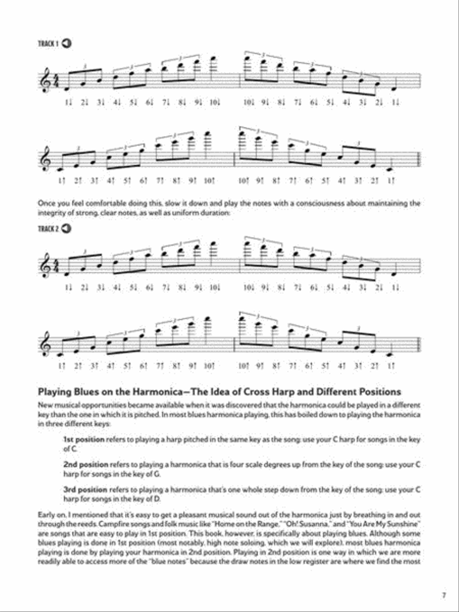 Blues Harmonica - Bending & Beyond Harmonica scores gallery preview page 8
