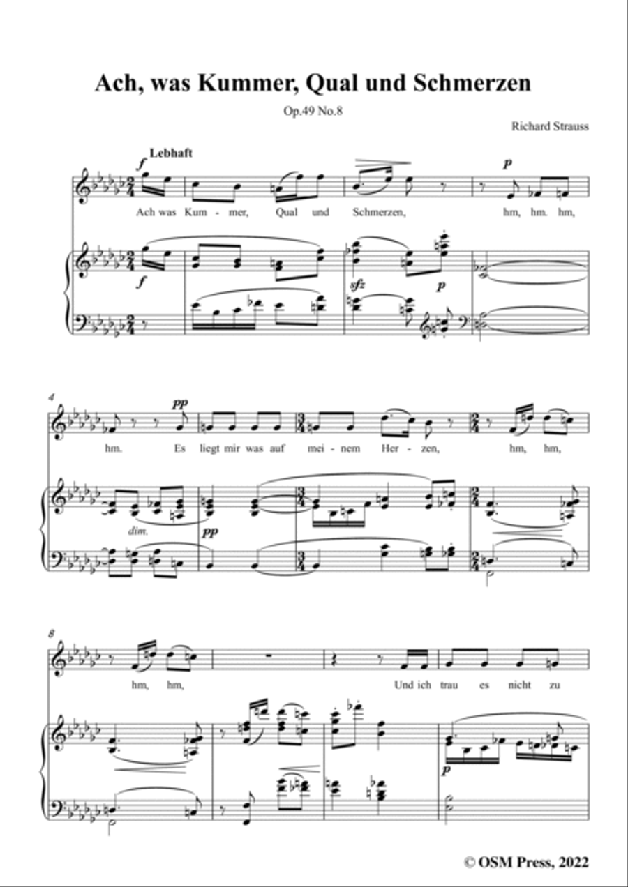 Richard Strauss-Ach,was Kummer,Qual und Schmerzen,in e flat minor Voice scores gallery preview page 3