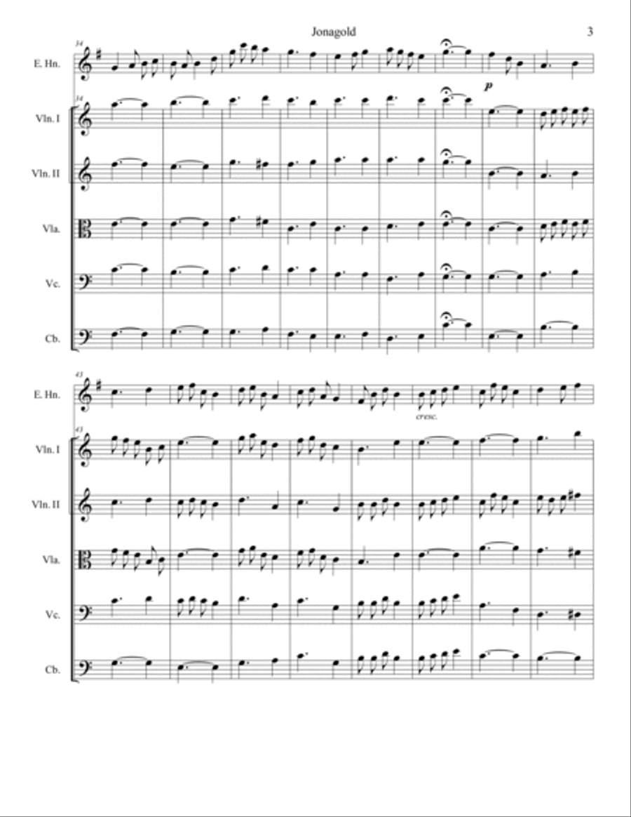 Jonagold Jonagold String Orchestra scores gallery preview page 3