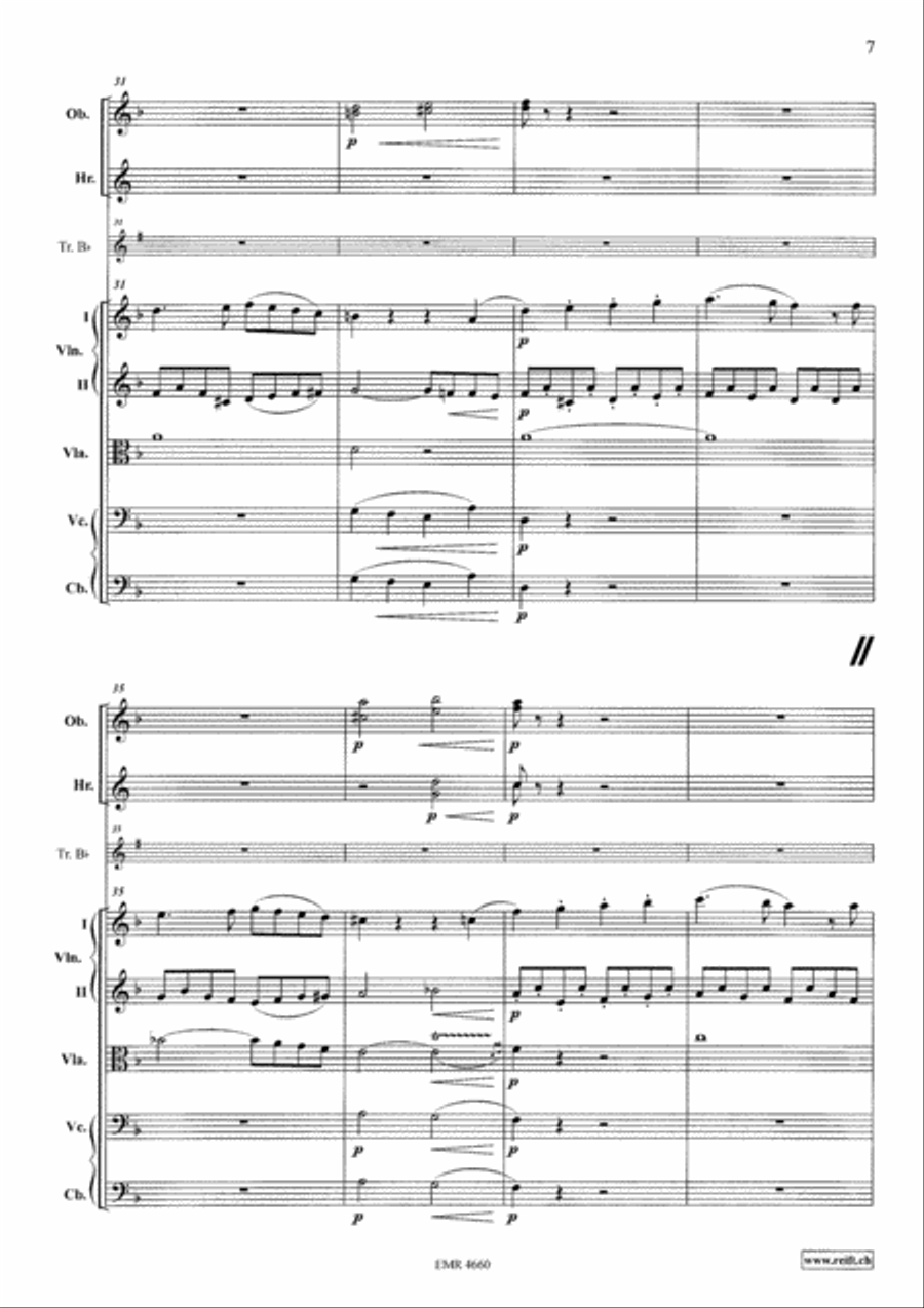 Grand Concerto in F Major Orchestra scores gallery preview page 7