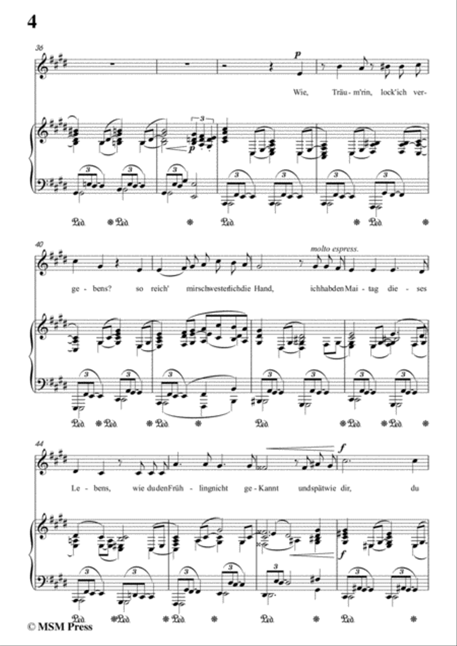 Richard Strauss-Die Georgine in c sharp minor,for Voice and Piano Voice Solo scores gallery preview page 6
