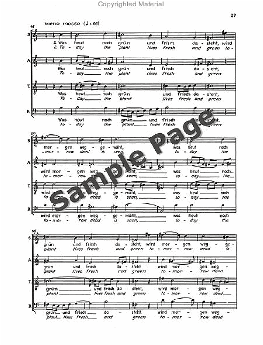 Der Tod Zu Basel Vocal Score 4-Part scores gallery preview page 30