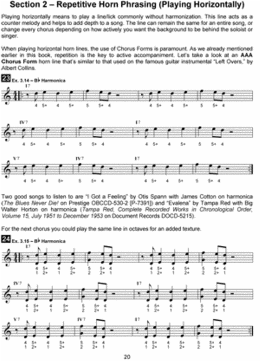 Blues Harmonica Accompaniment Playing Harmonica scores gallery preview page 3