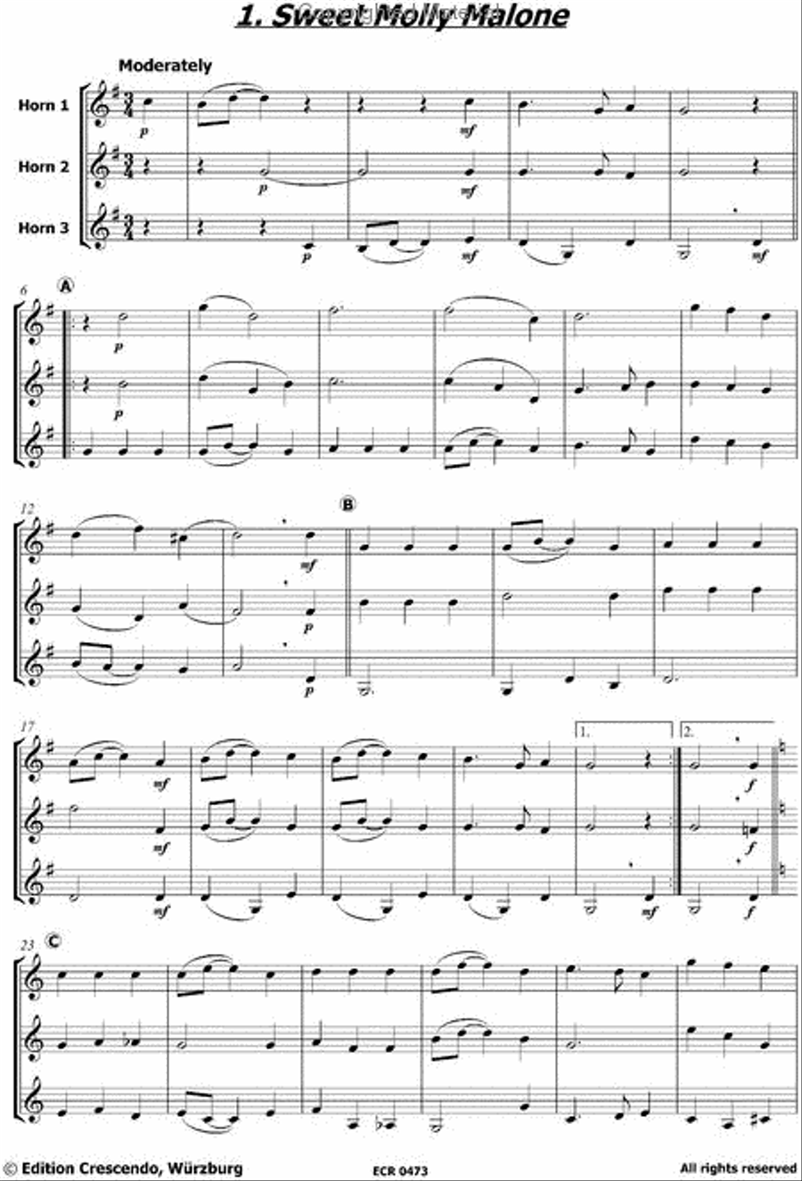 Irish Folks 2 - 3 Horns Woodwind Trio scores gallery preview page 2
