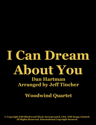 Book cover for I Can Dream About You
