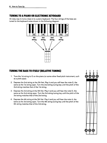 Ultimate Beginner Bass Basics Mega Pak