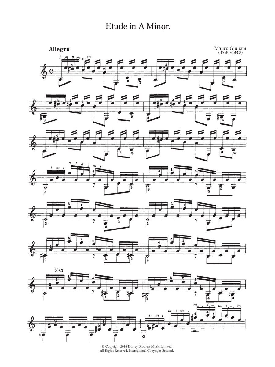 Etude In A Minor Acoustic Guitar scores gallery preview page 1