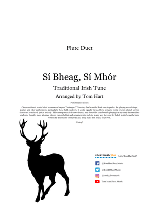 Book cover for Sea Bheag, Si Mhor