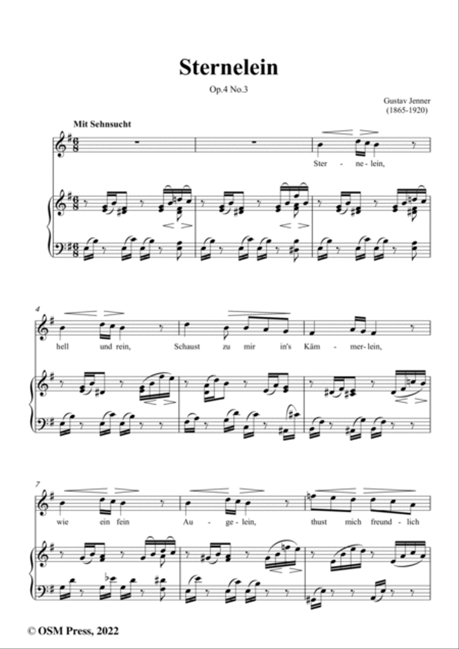 Jenner-Sternelein,in e minor,Op.4 No.3 Voice scores gallery preview page 2