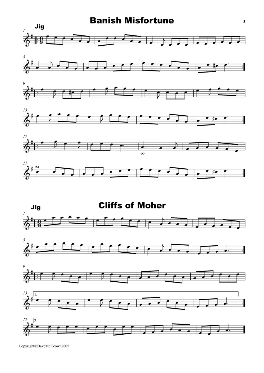 Irish Dance Music Vol.1 for Whistle; 40 Jigs, Reels, Hornpipes and more.... Tin Whistle scores gallery preview page 3