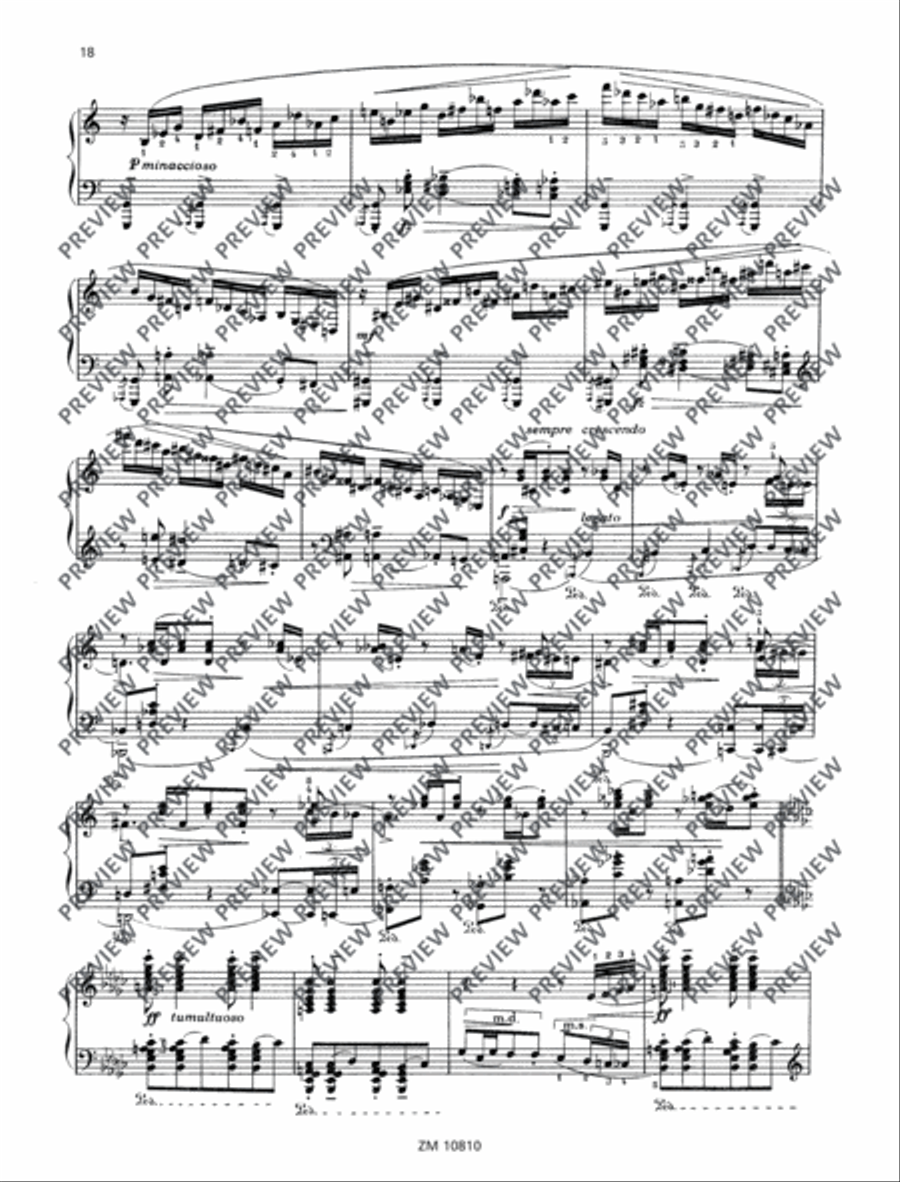 Sonata romantica Piano Solo scores gallery preview page 19