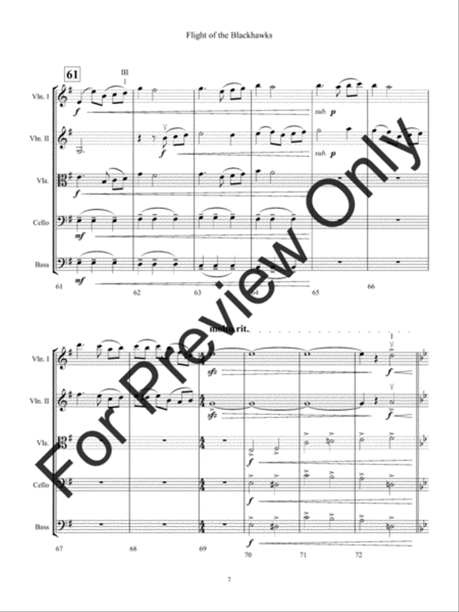 Flight of the Blackhawks Flight of the Blackhawks String Orchestra scores gallery preview page 10