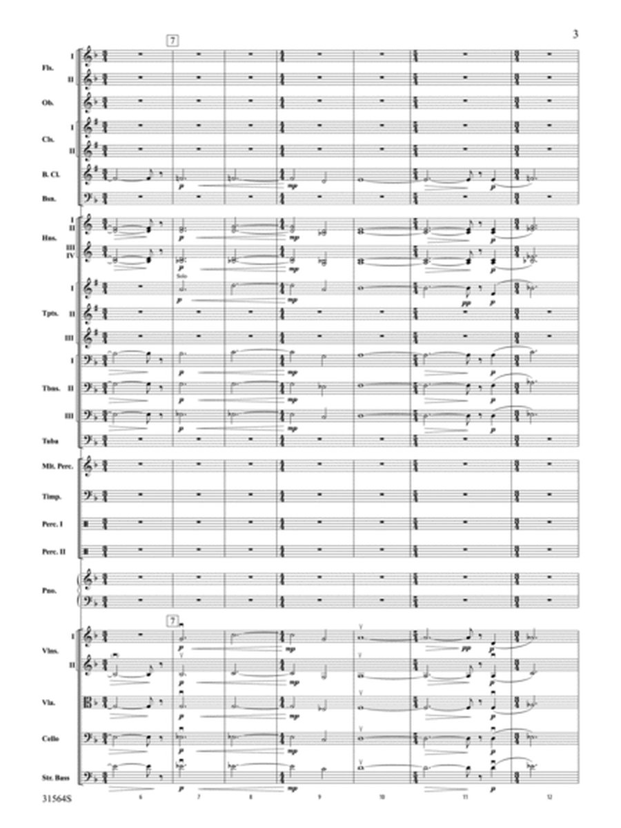 Concert Suite from The Dark Knight (Score only)