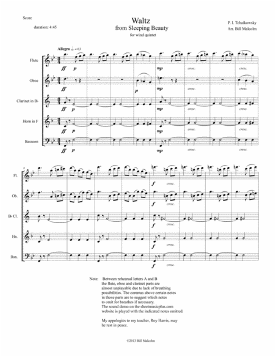 Waltz from Sleeping Beauty Woodwind Quintet scores gallery preview page 1