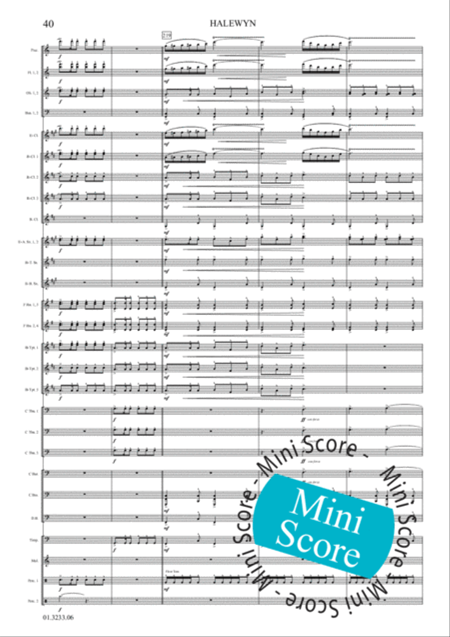 Halewijn Concert Band scores gallery preview page 46