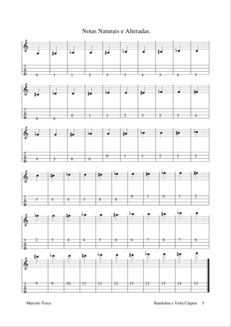 Bandolim e Viola Caipira: Músicas com Tablaturas. String Duet scores gallery preview page 5