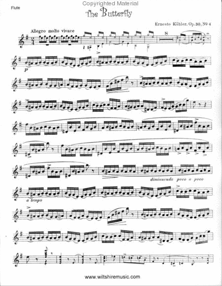 The Butterfly Flute Solo scores gallery preview page 2