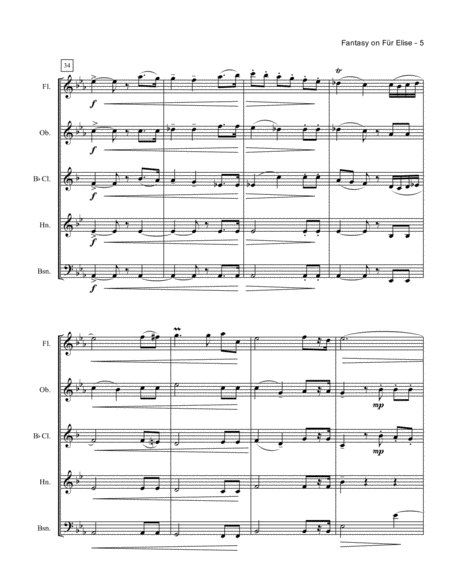 Fantasy on Für Elise (Woodwind Quintet) image number null