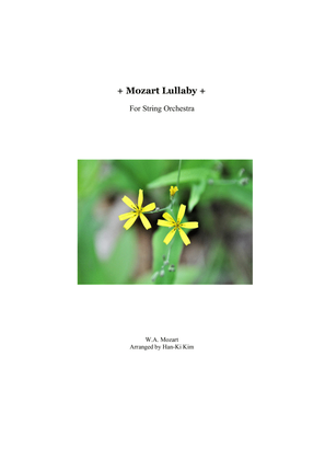 Book cover for Mozart Lullaby (For String Orchestra)