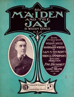 Book cover for The Maiden and the Jay