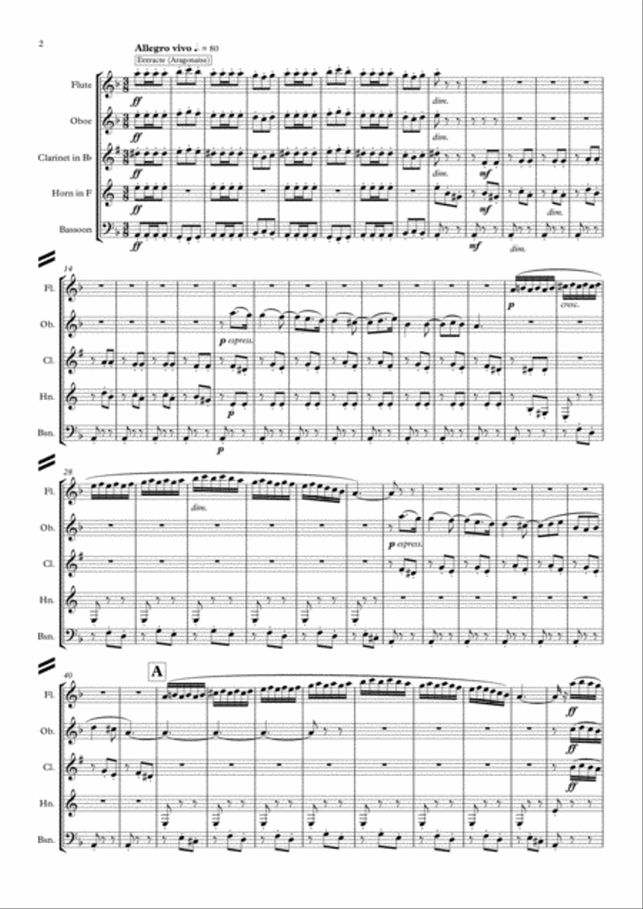 Bizet: A Carmen Medley - wind quintet Woodwind Quintet scores gallery preview page 3