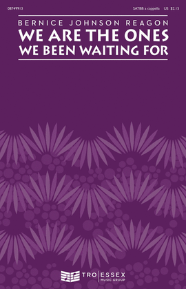 Book cover for We Are the Ones We Been Waiting For