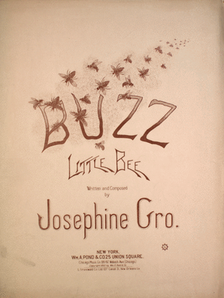 Book cover for Buzz Little Bee