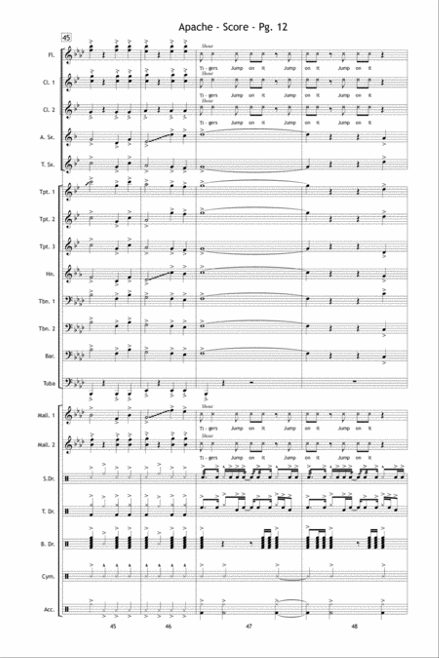 Apache Apache Marching Band scores gallery preview page 13