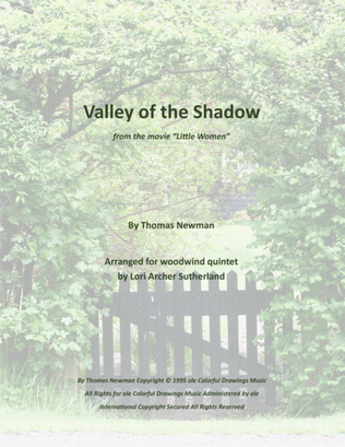 Book cover for Valley Of The Shadow
